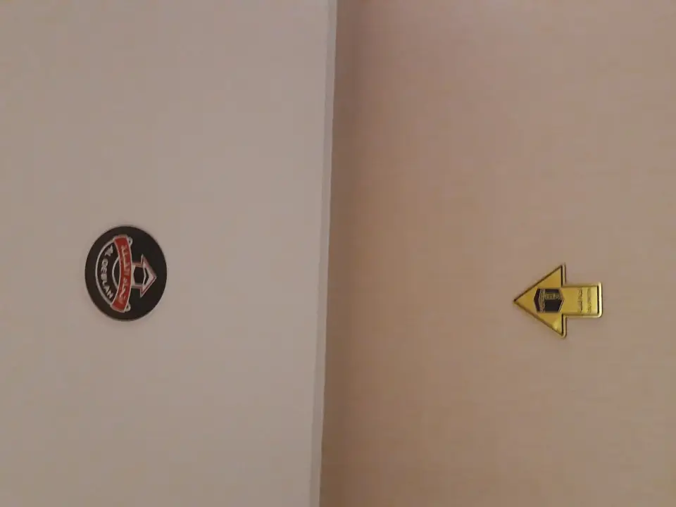 20241025_210244.jpg