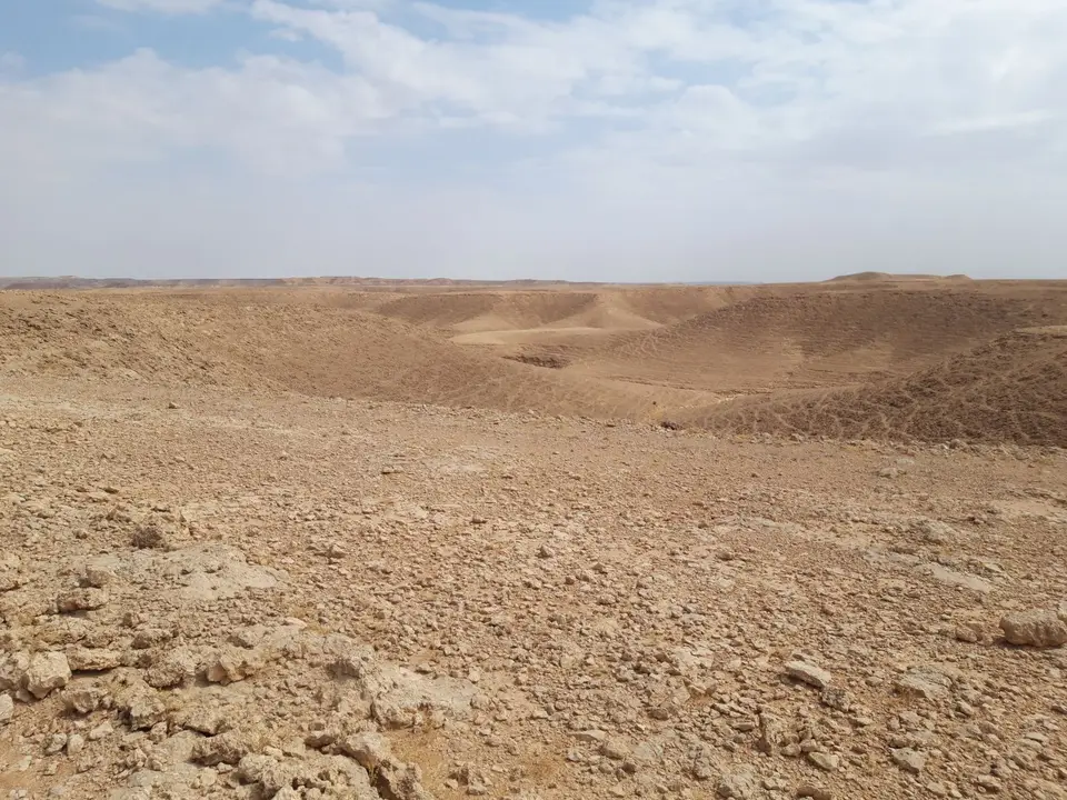 20241027_111713.jpg