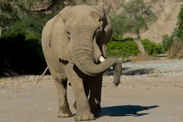 bb001.jpg
