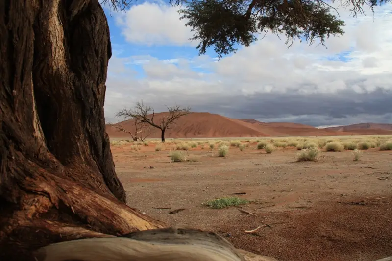Namibia201111031.jpg