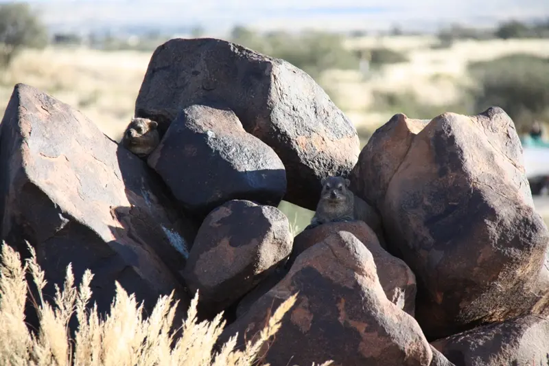 Namibia20111208.jpg