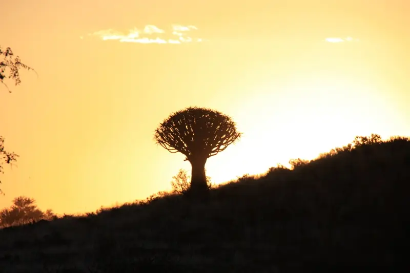 Namibia20111257.jpg