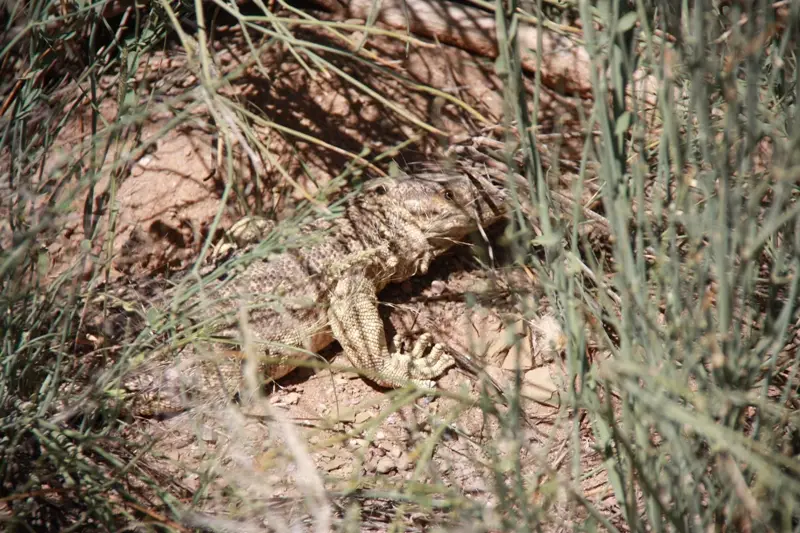 Namibia20111304.jpg