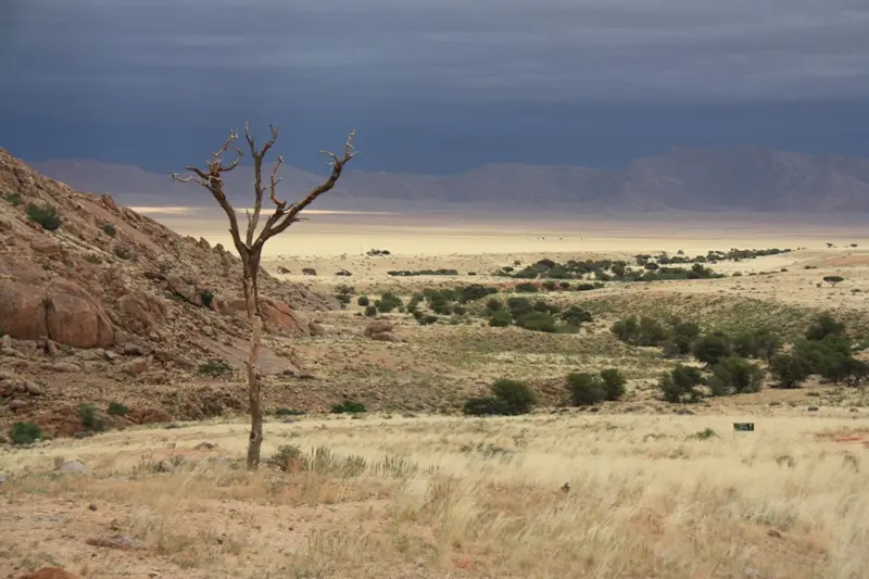 Namibia20111539.jpg