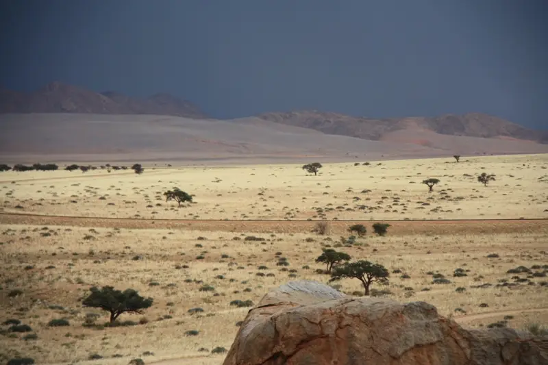 Namibia20111545.jpg