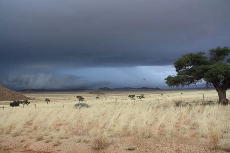 Namibia20111557.jpg