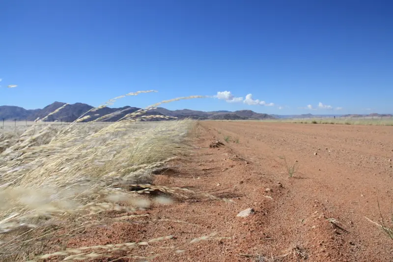 Namibia20111741.jpg