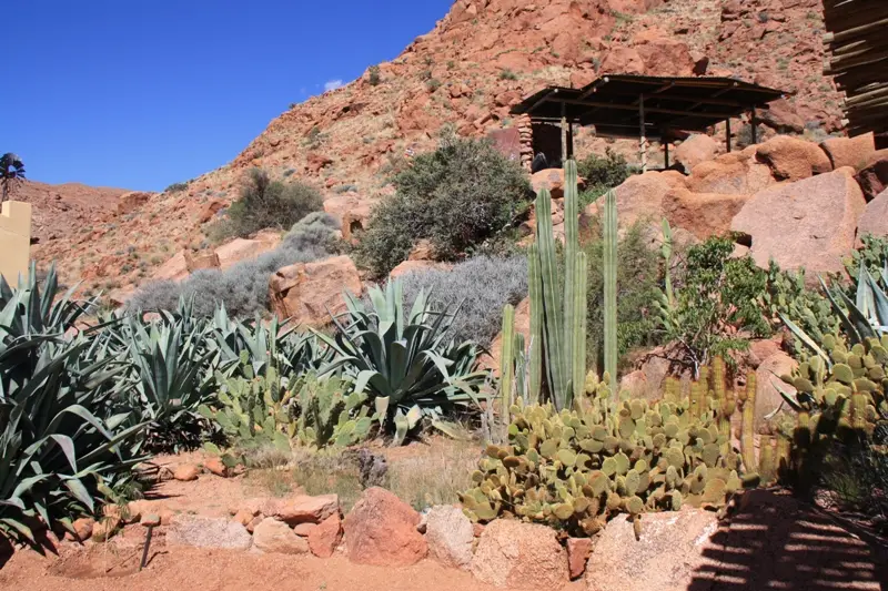 Namibia20111748.jpg