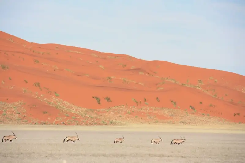 Namibia20111796.jpg