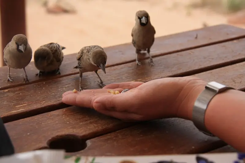 Namibia20111842.jpg