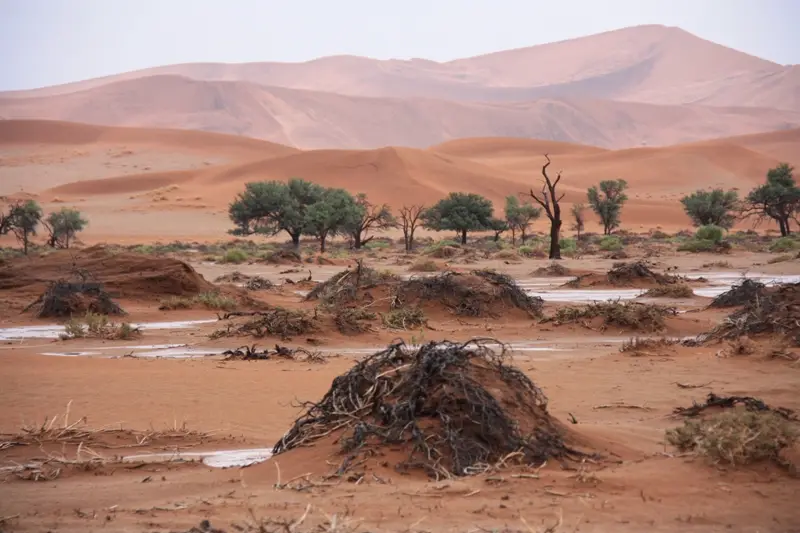 Namibia20111891.jpg