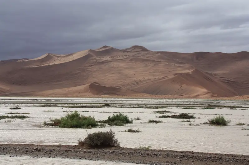 Namibia20111959.jpg
