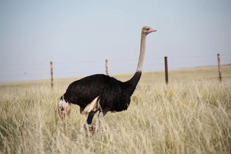 Namibia20112022.jpg