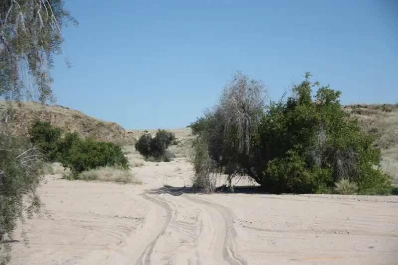 Namibia20112074.jpg
