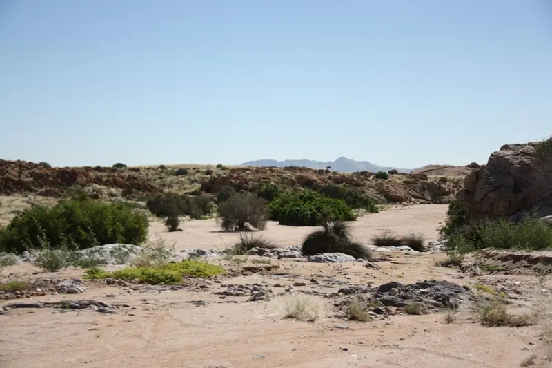 Namibia20112075.jpg
