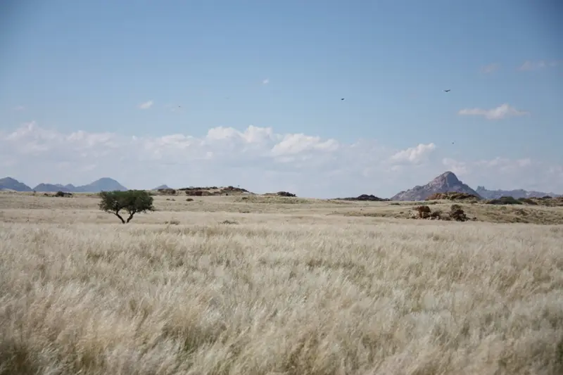 Namibia20112077.jpg