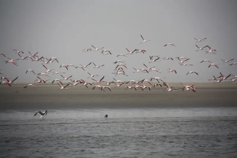 Namibia20112136.jpg