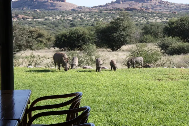 Namibia20112349.jpg