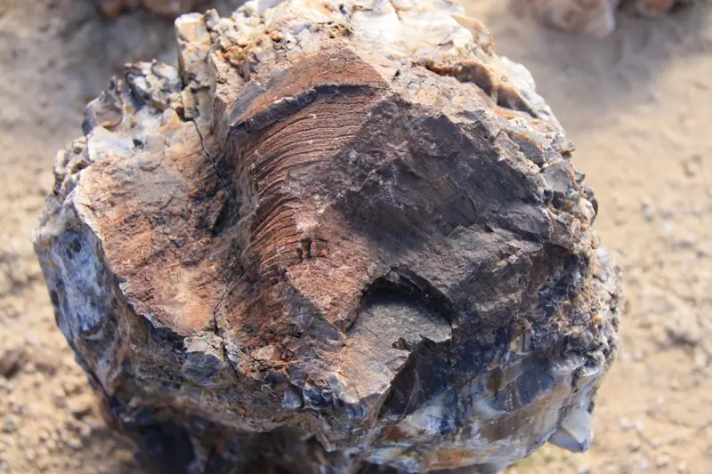 Namibia20112570.jpg