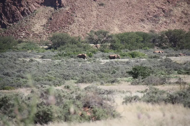 Namibia20112595.jpg