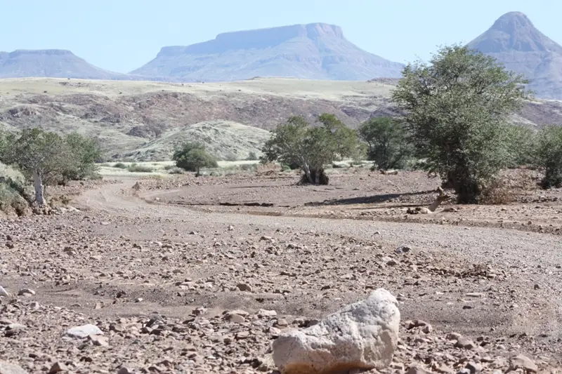Namibia20112612.jpg