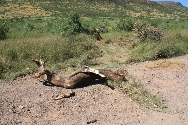 Namibia20112627.jpg