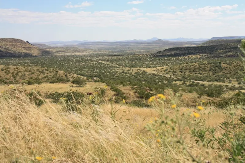 Namibia20112642.jpg