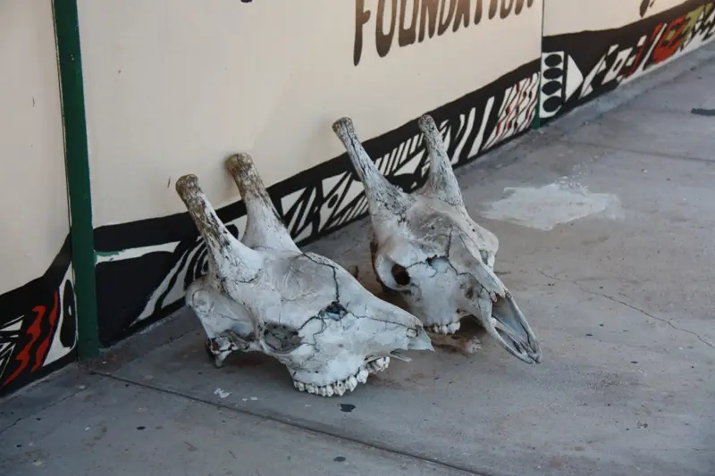 Namibia20112690.jpg
