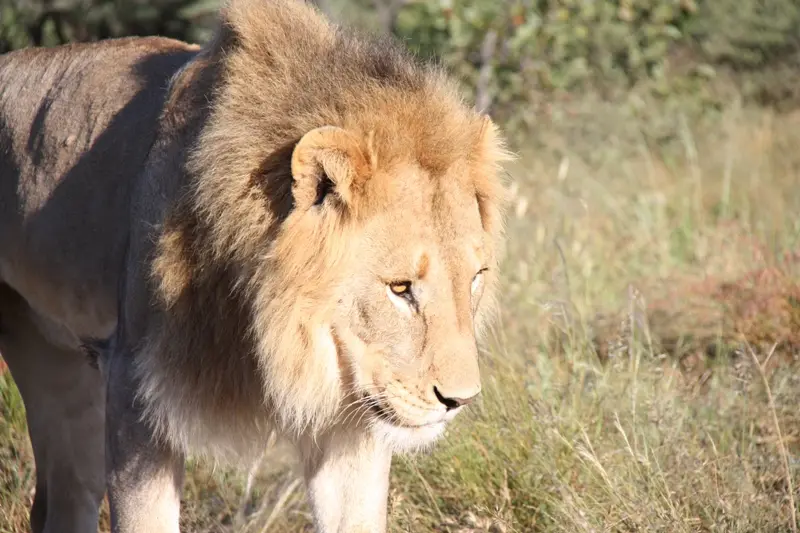 Namibia20112693.jpg