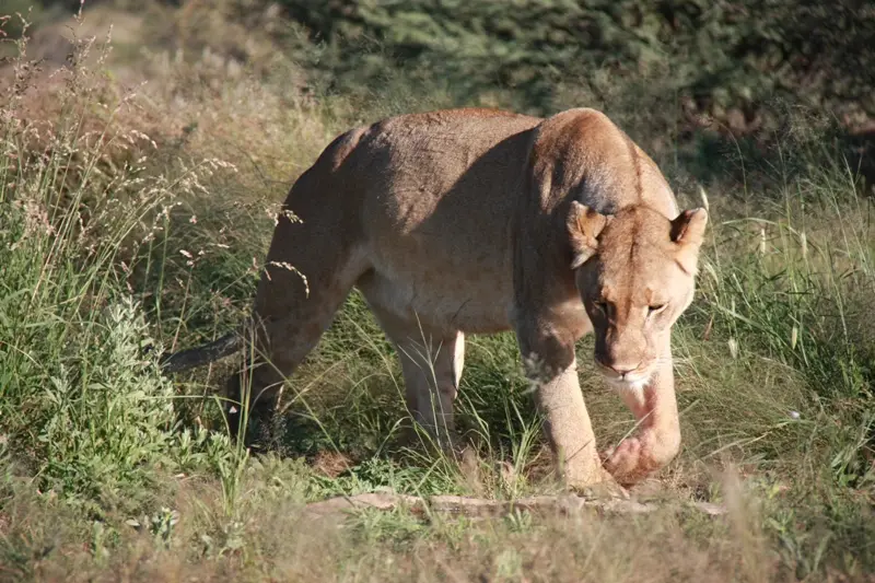 Namibia20112709.jpg