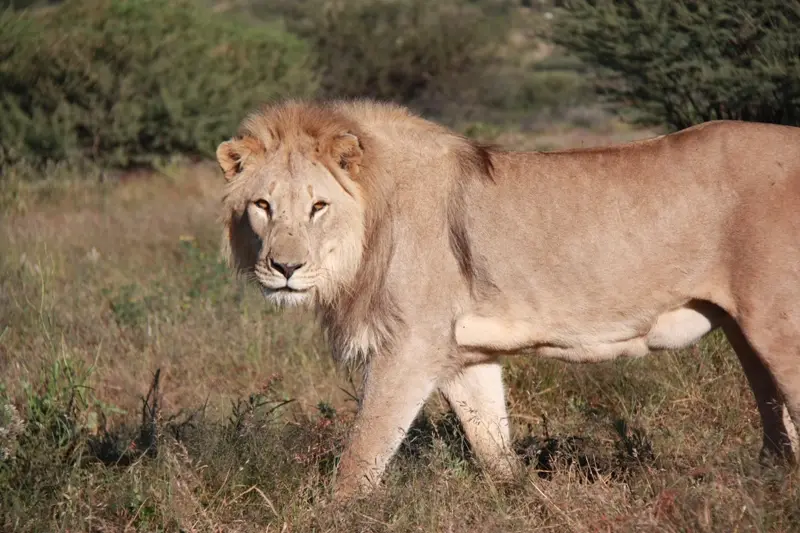 Namibia20112713.jpg