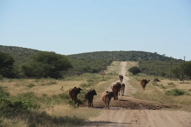 Namibia20113032.jpg