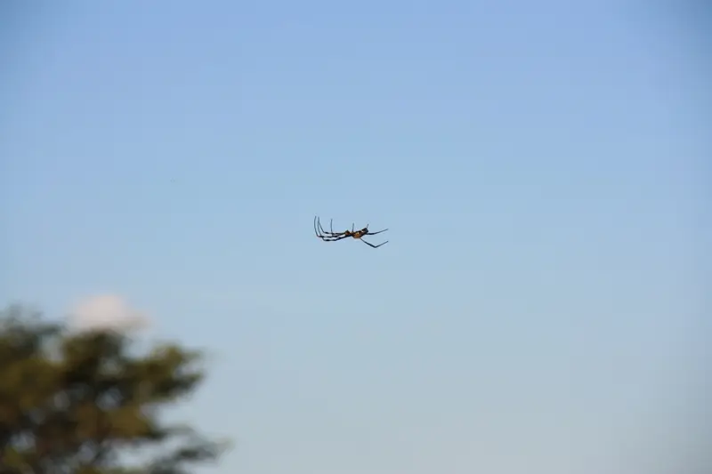 Namibia20113044.jpg