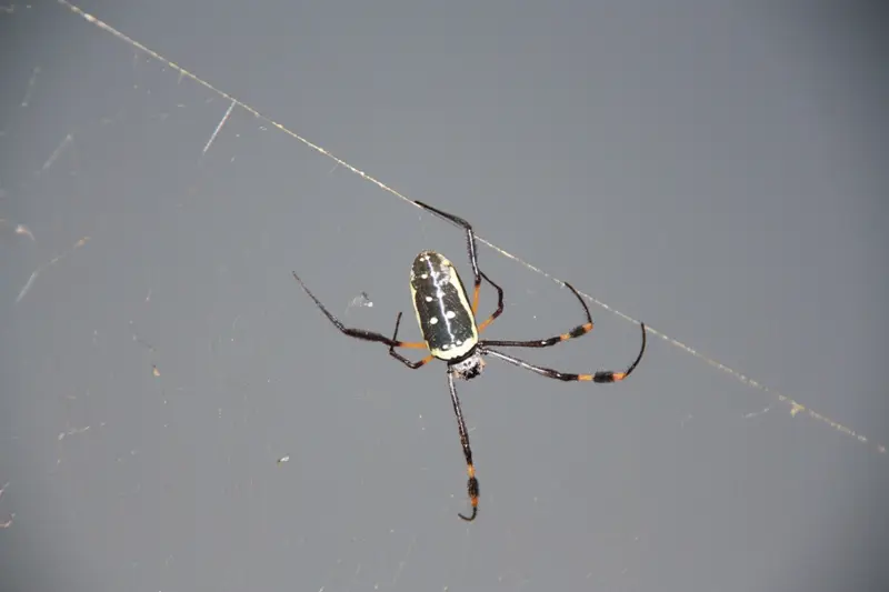 Namibia20113052.jpg
