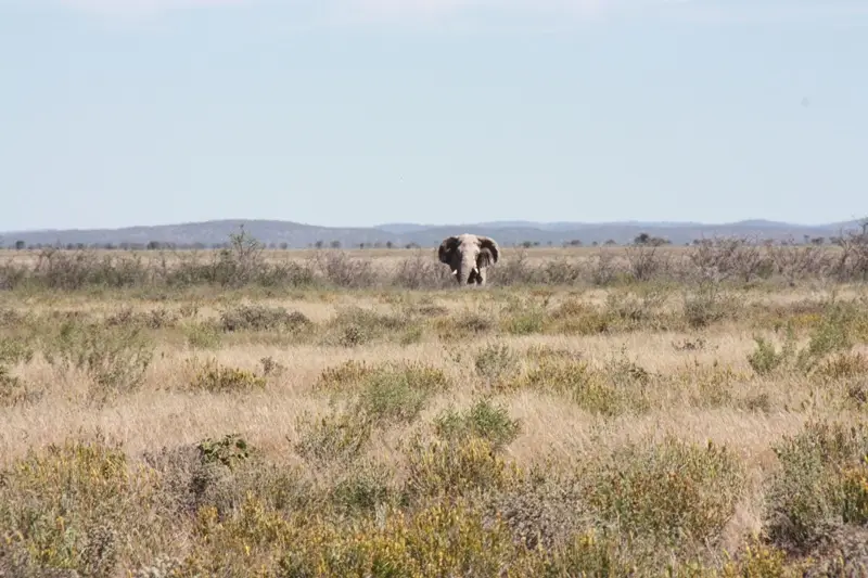 Namibia20113156.jpg