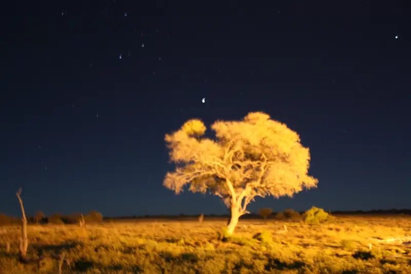 Namibia20113246.jpg