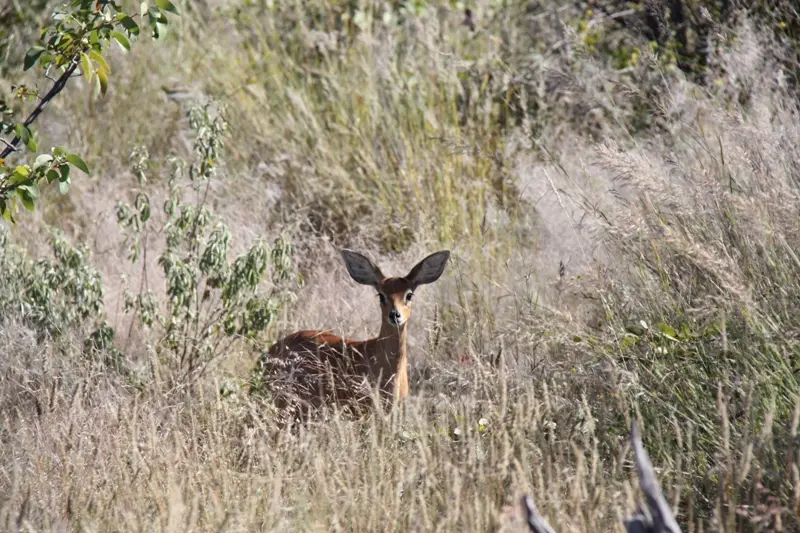 Namibia20113276.jpg