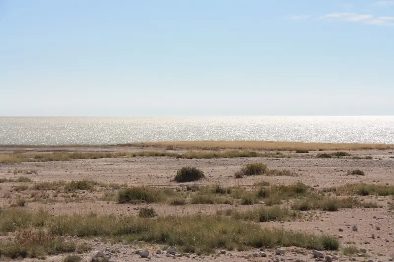 Namibia20113291.jpg