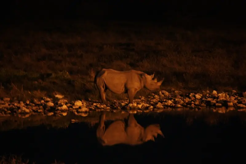 Namibia20113312.jpg