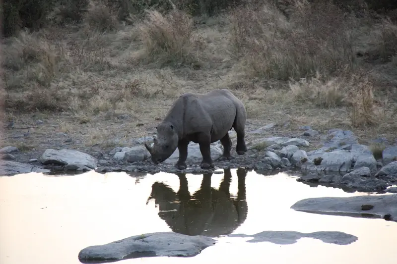Namibia20113439.jpg