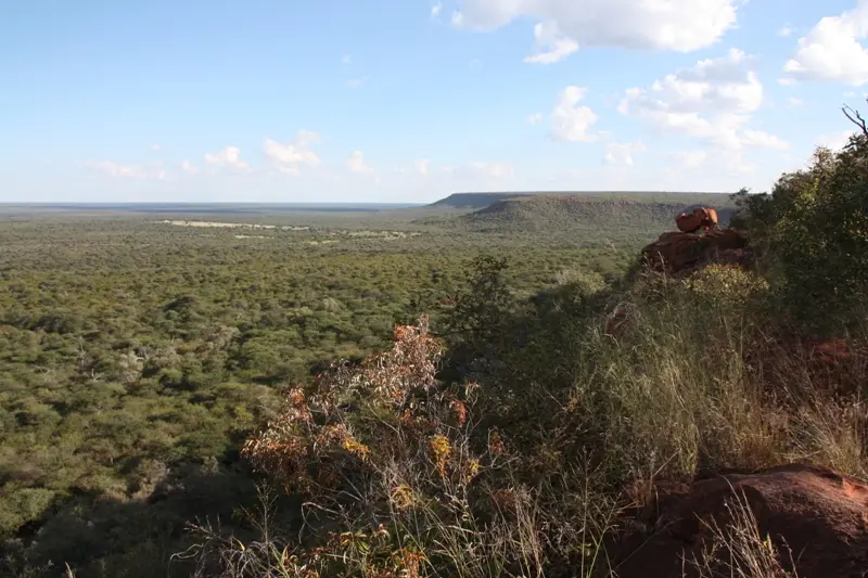 Namibia20113677.jpg