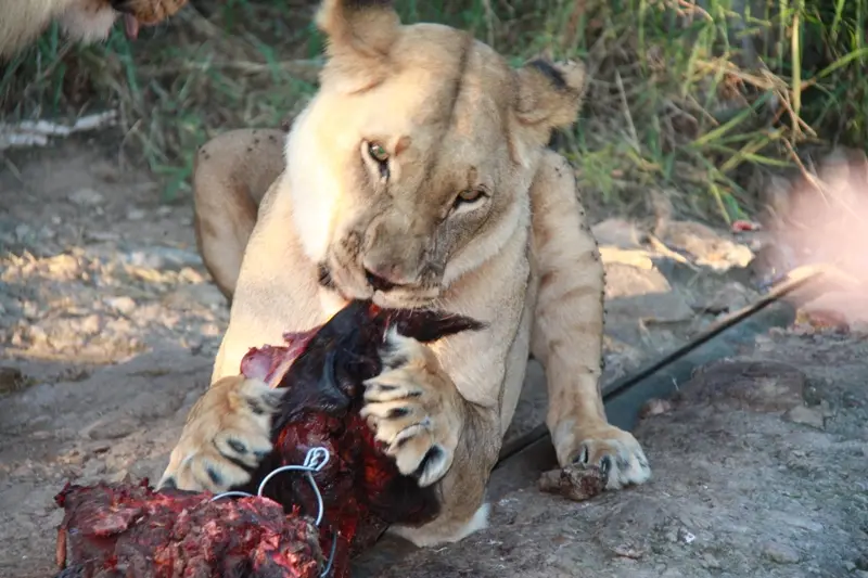 Namibia20113818.jpg