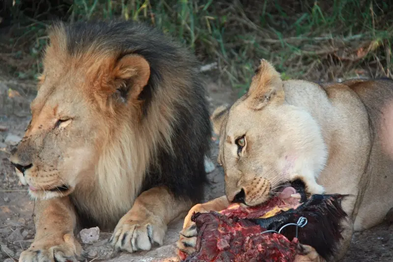Namibia20113822.jpg