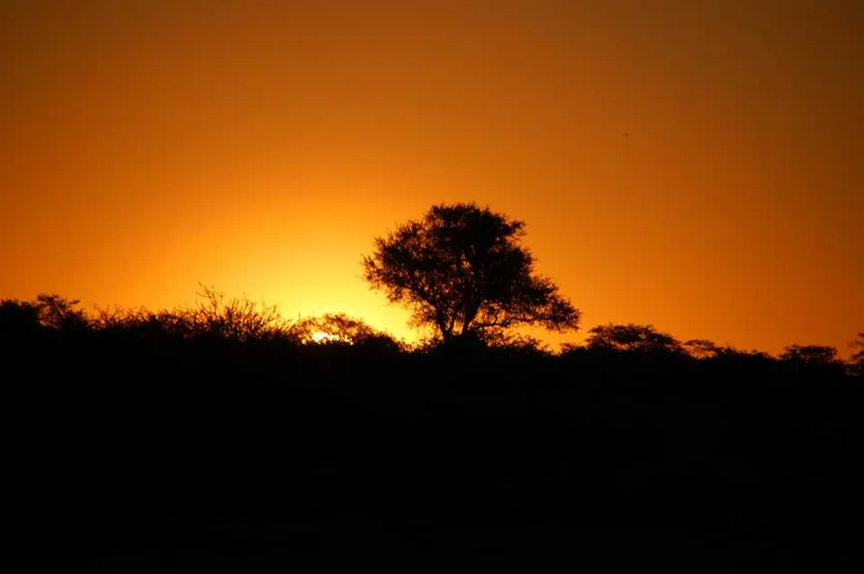 DSC_0112.JPG