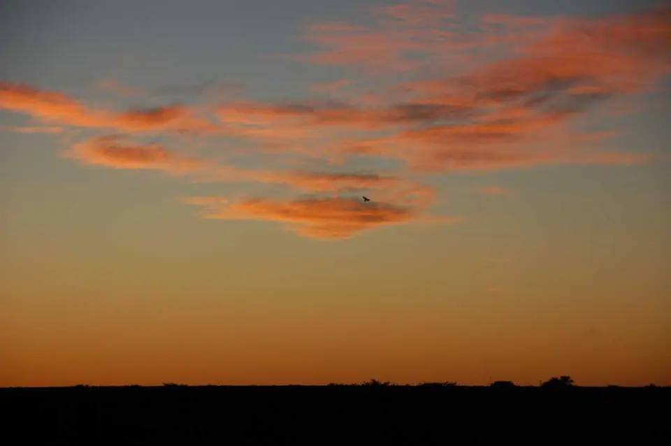 DSC_0238.JPG