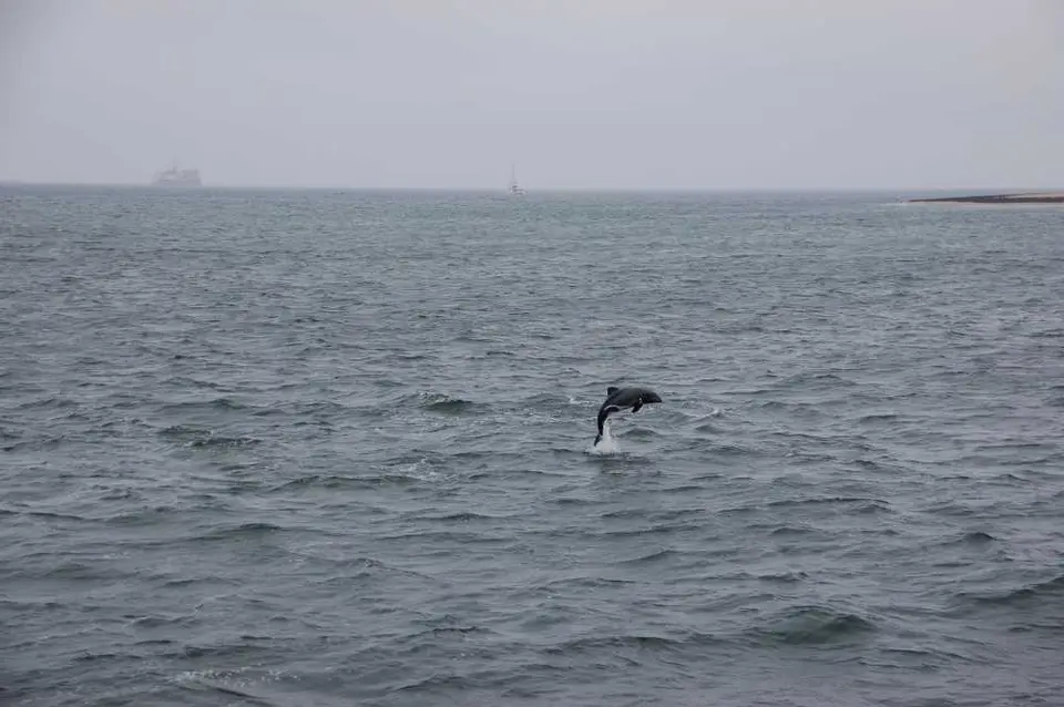 DSC_0959.JPG