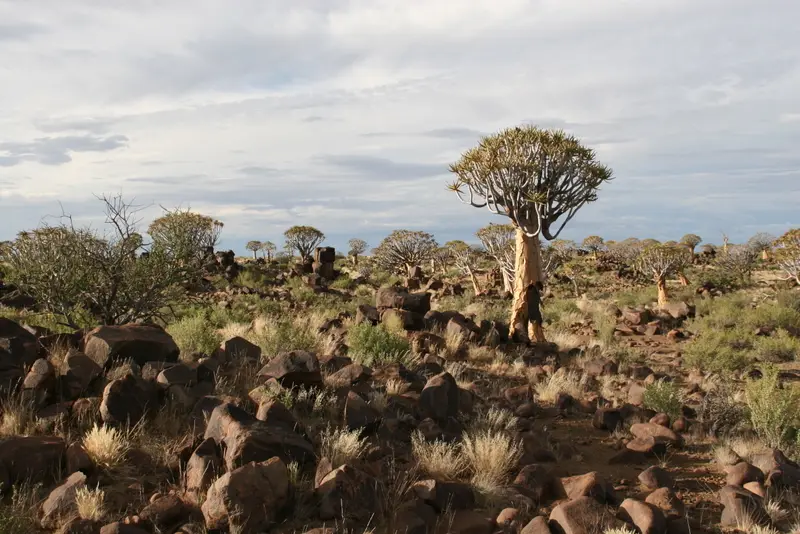 Namibia2010_-243.jpg