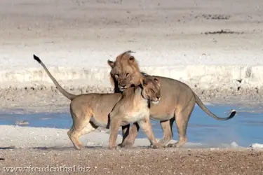 namibia_1388.jpg