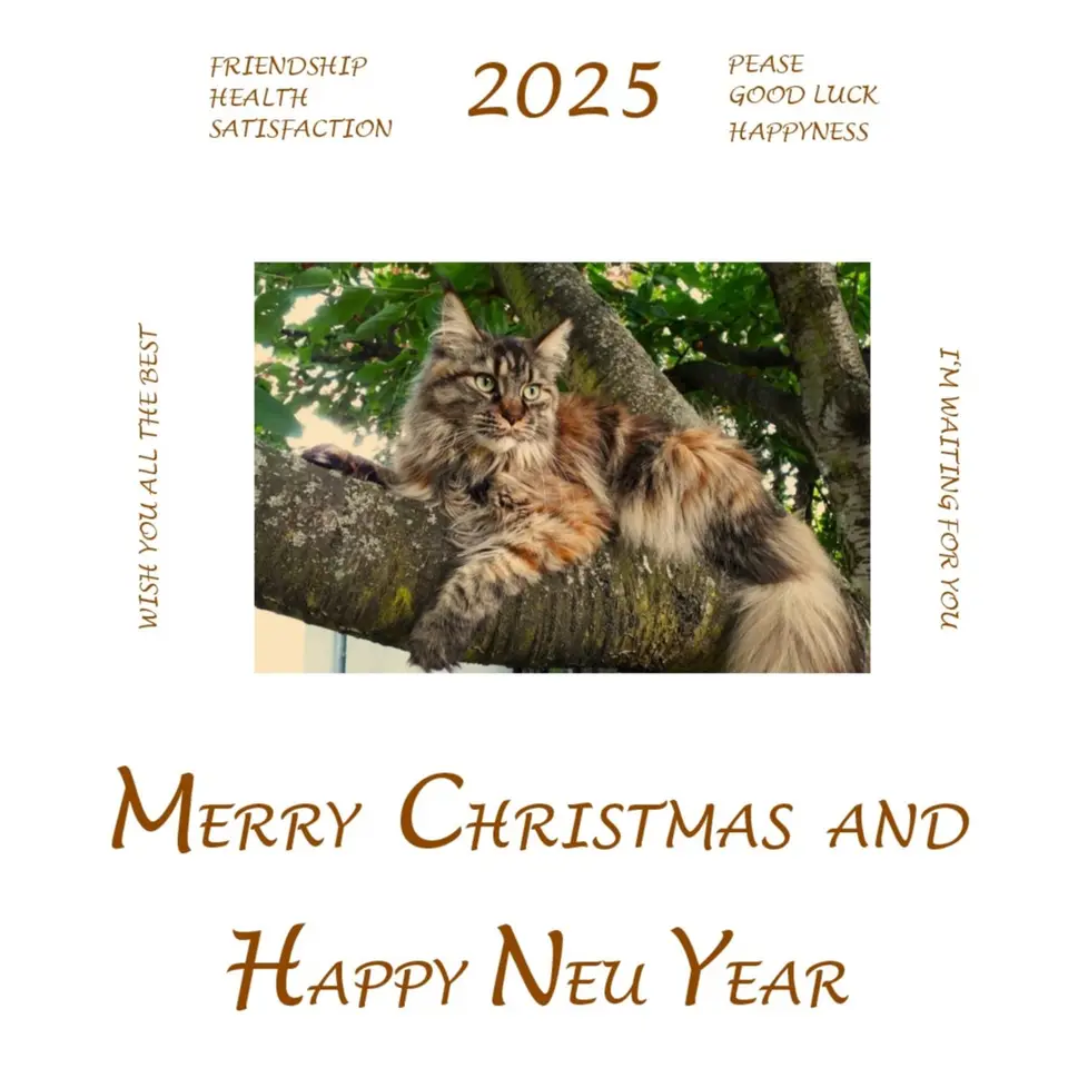 Happynewyear2025.jpg