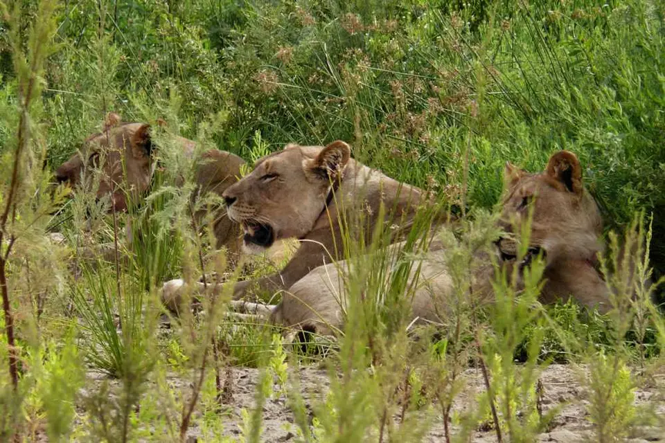 Namibia200910370.jpg